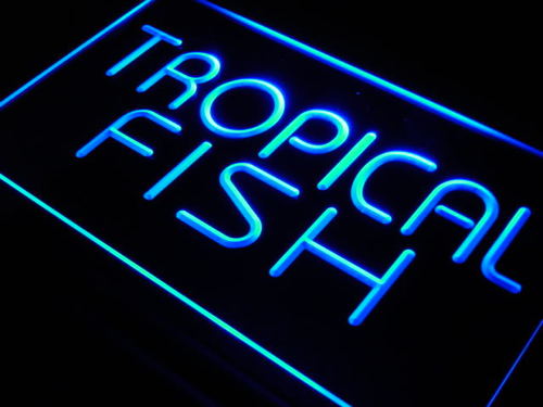 Tropical Fish Shop Display Lure Neon Light Sign